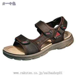 777~OFFN[| Y X|[c T_ y NbV ɂ JWA X|[cT_ ₷ ~ EH[LO U fC[ r[`T_ ʋC p A