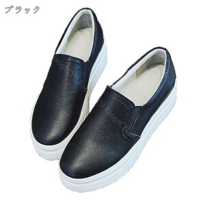 1000~OFFN[| Xb| Xj[J[ fB[X   傫TCY   U[ JWA ₷ y fB[XV[Y C Xj[J[ R [q[ [J