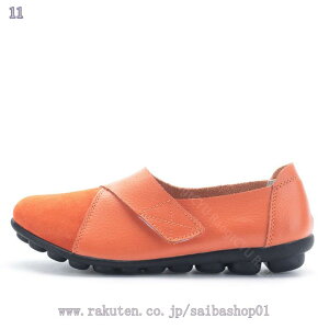 500~OFFN[| Xb| JV fB[X   JWAV[Y ׂ  JVV[Y tbgV[Y r y EH[LOV[Y Ōt ƌC ₷