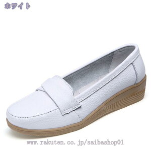 JV [t@[ V[Y RtH[gV[Y fB[X RtH[g tbg JWA V[Y fB[X [t@[ EGbW\[  Xb| ₷ Ȃ 