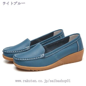 500~OFFN[| pvX JV fB[X tbgV[Y wlC fB[XSC fB[XV[Y [t@[ }}V[Y ؂C _炩 傫TCY 25 JWA 