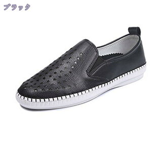 500~OFFN[| Xb| 傫TCY fB[X Xj[J[  y bV   RȂ ʋC ₷ E₷ ɂȂ JWA  JWAV[Y Xj[J