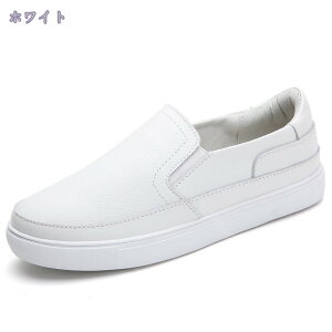 Xb| Xj[J[ X[X fB[X TChSA Xj[J[ r  t ₷ Ȃ K NbV ᔽ y [t@[ ʊw ʋ d 傫