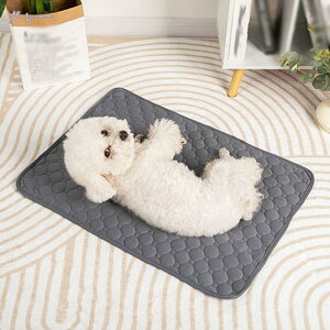 777~OFFN[| 􂦂ybgV[c ybg}bg pbh JԂg  }bg ybg}bg V[c ^ ^ ^ L p z  Rh~ ~ @