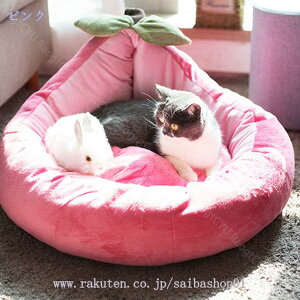 500~OFFN[| Lxbh ~p pxbh ^ 킢 p}bg Lp}bg g ₦ ~ 􂦂 L ^  H~ ӂӂ ϊ LObY ObY q L