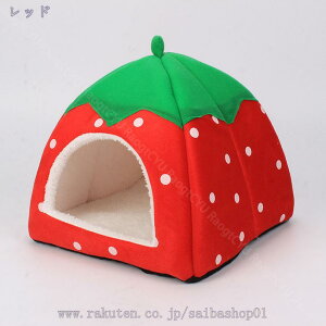 777~OFFN[| ybgxbh LnEX h[^ g[ GARK ybg}bg ybgnEX ybgxbh  킢 K _炩  g pQ 薰 ~