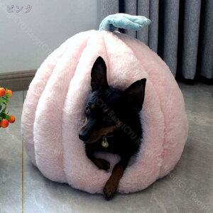 LnEX h[^ 􂦂 LbgnEX ~ ybgxbh Lpxbh  L xbh   _炩 ~ ^ Lbg ybgnEX  NbVt h ΍ H~