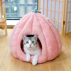 ybg nEX  L ӂӂ g ybgnEX Lxbh ybgp ybgnEX ybgxbh h[^ ^ 薰 ӂӂ p  NbV}bgt ΍ ^