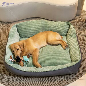 1000~OFFN[| L xbh ~p  ybgxbh NbV ybg\t@ \tg ybg}bg XNGA^ ybgxbh 薰 ӂӂ  g H~p ~ h N