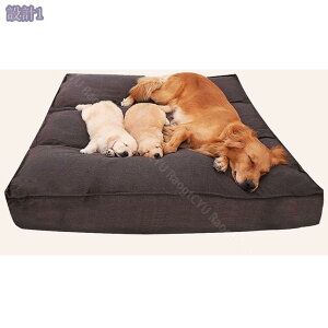 ybgxbh L  xbh ybg\t@[ ybgNbV \ NbV  ӂӂ  ~ ΍  q L  I[V[Yp ~ ^ 