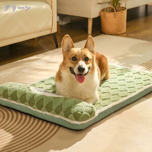 ybgpNbV  L ybg xbh NbV }bg ӂӂ ~ 􂦂 ^ ^ pxbh ybg\t@[ g ΍ 薰 p H~ ϋv ybg