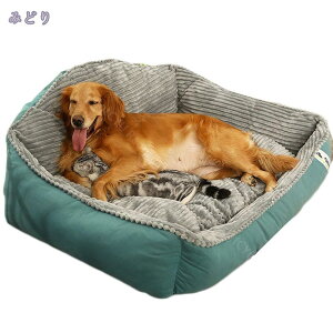 2000~OFFN[| ybgnEX ybgxbh NbV }bg  LnEX xbh \t@ 􂦂_炩 ē~ Gǂ 薰 Q p ܂ O^ ^ 