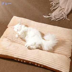 pxbhN[gpbh ^p̍؂Ȃʂ݃\tgybgxbh 􂦂 _炩 |₷ ~ pN[gxbhOł ƕsh~̂߂ p}