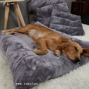 1000~OFFN[| ^pNbVxbh 􂦂Jo[ }bgX XNGA^ h tėp 傫TCY ^ ^ p v  V ^ LɓKp h~ 