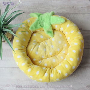 ybgxbh ybgNbV ybg}bg ybg\t@ Eh^ ی^ h[icybgxbh 薰 ӂӂ  g ~ h ΍ 􂦂 Lp ^p 