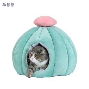 h[^ ybgxbh  L xbh ~  nEX g ybg ӂӂ {A pxbh lRxbh LObY ObY ʔN^Cv 􂦂 薰 ӂӂ NbV 