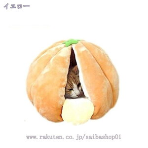 LnEX  L xbh ybgxbh h[^ LbgnEX ybgnEX 2way ^ Lp xbh ~ p lGKp tt NbVt  t ybg\t@[  