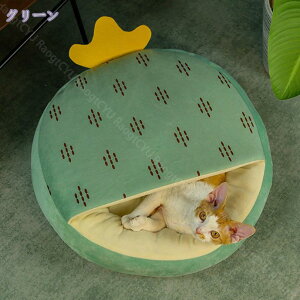 LbgnEX ~ LnEX  L h[^ xbh L̉   _炩 ې ~ ^ Lbg ybgxbh ybg p H~p NbVt h ΍ H