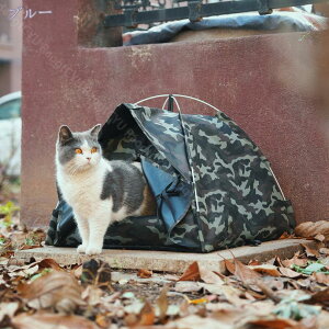 1000~OFFN[| L nEX  ybgeg ӂӂ NbVt  xbh \t@ 2way ^ Lp p I[V[Y 薰  􂦂 ܂肽݉ ȒPg