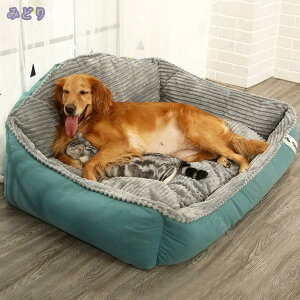 ybgxbh ӂӂ ybgxbh ~p ybg xbh L  xbh ~p L NbV ybgpxbh L ~Q L  ΍ q Lp Q ybg\t@ ~ @\ _炩 