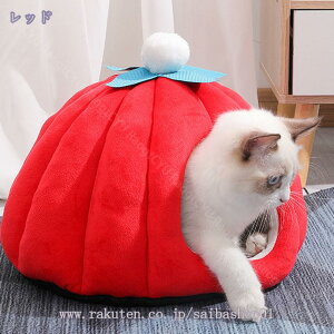 L xbh h[^xbh ybgpQ LnEX  Q \t@ NbV }bg  ۉh 􂦂 p ӂӂ RR 킢 薰 ~ 􂢉 