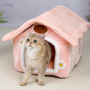 ^p ybgnEX NbVt ^ lRnEX h[^nEX p Lp ܂肽ݎ nEX  h ΍ ybgpi p Lp xbg ͂ ybg O