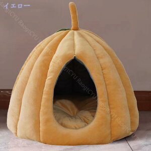 LnEX ybgxbh h[^ ybgnEX LbgnEX 2way ^/Lp xbh ~  ʔN ӂӂ NbVt  t LbgnEX  ې g Q 