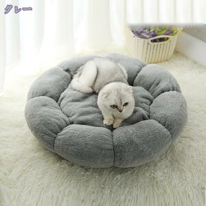 L xbh \t@[ ybgxbh H~p ^  xbh ybgNbV }bg ی` Ehxbh p  ӂӂ ΍ g P[Wp 傫 [x ~΍ 