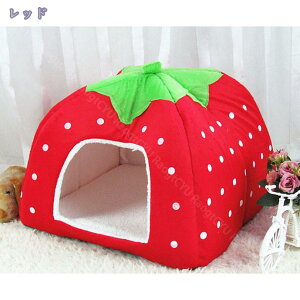 LnEX ~ LbgnEX Lpxbh L h[^ xbh  p nEX ybgpQ ۉh  _炩  ~ ^ Lbg  p g 