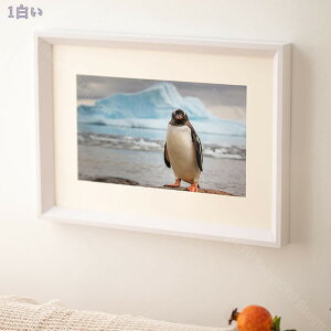 460~OFFN[| ؐz AN TCY 26.6*38cm 䎆t Ǌ| y y Ȃ tWJ[ tHgt[ i` Ƒʐ^ LOʐ^ i R  q ybg ܎O {Q