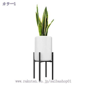 500~OFFN[| |bg X^h t[X^h  ϗtA a36cm܂őΉ  Lk pr ACA Aؔ K[fjO bN  O ԑ v^[X^h u g