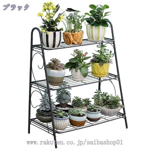 t[X^h 3i @\[bN ACA V[YbN K[fbN [I O  x_ A O ԑ  u |bN v^[ v^[X