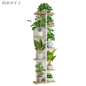 2000~OFFN[| t[X^h ACA ԑ 7i   O  x_ X  u |bN K[fjObN v^[ |bg K[fbN v^