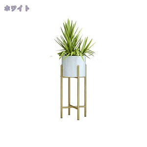 v^[X^h 80cm v^[{bNX t[X^h ԑ v^[bN t[bN ACA {^jJ K[fjO  zCg   k t[