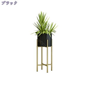 1000~OFFN[| v^[X^h 80cm v^[{bNX t[X^h ԑ v^[bN t[bN ACA {^jJ K[fjO  zCg  