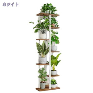 t[X^h ACA ԑ 4i 5i  /O /x_ X  u |bN K[fjObN v^[ |bg K[fbN v^[X^h ~