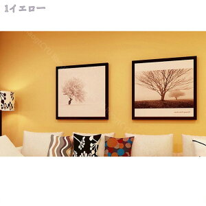 1000~OFFN[| ǎ ǎV[ ȒP\tV[ n EH[XebJ[ OK h h N C 60cm×3m ǎ V[  ͂ǎ JbeBOV[g }bgNX JbeB