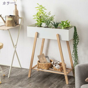 2000~OFFN[| v^[X^h bN v^[{bNX v^[ ϏܐA ~΍  킢 zCg t[X^h Vv  O AeB[N k 