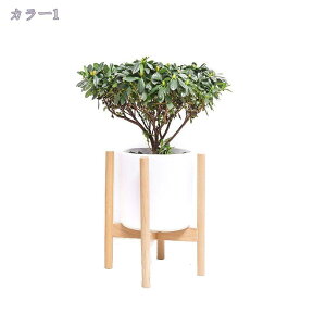 t[X^h ؐ  20*18CM v^[X^h   X^h O ϗtA  X^h  t[|bg Aؔ ԑ Aؔ K[fjO VR  i`