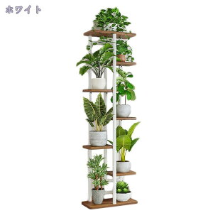 2000~OFFN[| t[X^h ACA ԑ 7i  /O /x_ X  u |bN K[fjObN v^[ |bg K[fbN v^