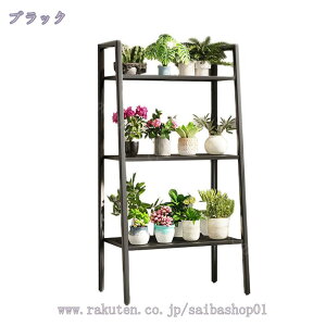 2000~OFFN[| K[fbN v^[X^h 3i 60cm ubN zCg oRj[bN v^[bN t[X^h bN t[bN bN O I  X