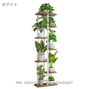 t[X^h 6i I[vVFt K[fbN |bN ~̓X^h  zCg ACA ԑ  /O x_ X v^[X^h ԒI K[ft