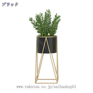 t[X^h  v^[X^h S[h 70cm ԑ  ACA v^[ X^h X ϗtA  |bg t[ bN  Aؔ u    v