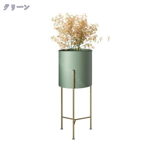 1000~OFFN[| ԑ  I t[X^h   v^[X^h ACA ϗtA I O[  zCg sN   X t[ bN |bg X^