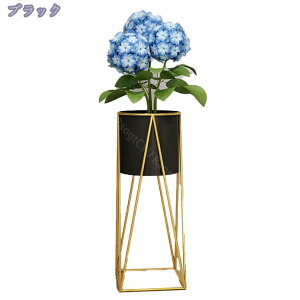 t[X^h  v^[X^h O[ 70cm ԑ  ACA Aؔ v^[ X^h X ϗtA  |bg t[ bN  AؔbN u   