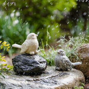 500~OFFN[| 2HZbg  uZbg Z~bN IuWF AEghA  { uNtg  g u  K[fjO G z[fR Aj}IuWF 