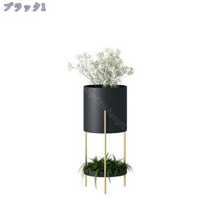 1000~OFFN[| ԑ  I t[X^h   v^[X^h ACA ϗtA I 2i O[  zCg sN   X t[ bN |bg X