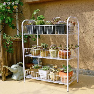 v^[bN K[fbN LX^[t 3i ^ zCg  ԑ O  v^[X^h  CeA K[fjO t[X^h t[bN LX^