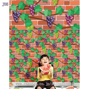 ǎV[ 10m ̂t NX K ͂ǎ C  h \Ă͂ ւ  CNV[g SV[g ی  ؖڒ n   gC Lb` k 