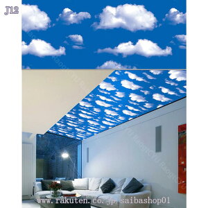 300~OFFN[| ǎV[ 10m ̂t NX K ͂ǎ C  h \Ă͂ ւ  CNV[g SV[g ی  ؖڒ n   gC L